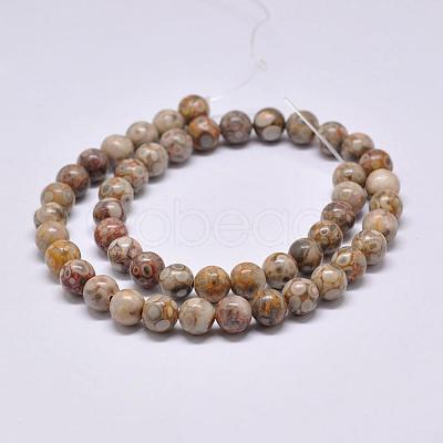 Natural Maifanite/Maifan Stone Beads Strands G-F353-8mm-1