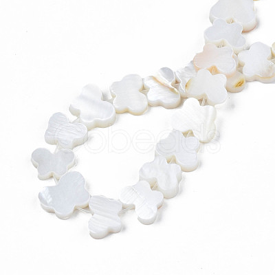 Freshwater Shell Beads Strands SHEL-T009-A18-1