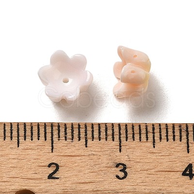 Seashell Beads SSHEL-H071-07A-1