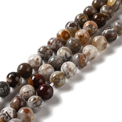 Natural Mexican Lace Agate Beads Strands G-E578-02B-1