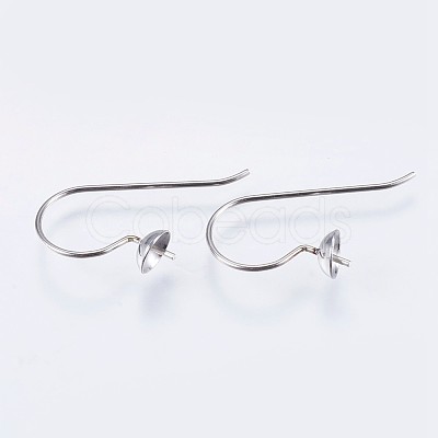 Tarnish Resistant 304 Stainless Steel Earring Hooks STAS-I097-063P-1