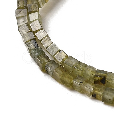 Natural Labradorite Beads Strands G-B064-A32-1