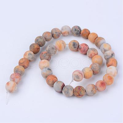 Natural Crazy Lace Agate Beads Strands G-Q462-10mm-12-1