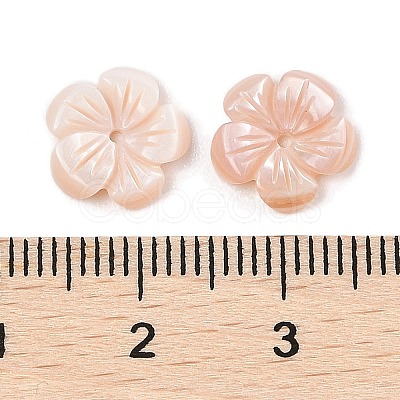 Natural Pink Shell Carved Beads SSHEL-I026-12B-02-1