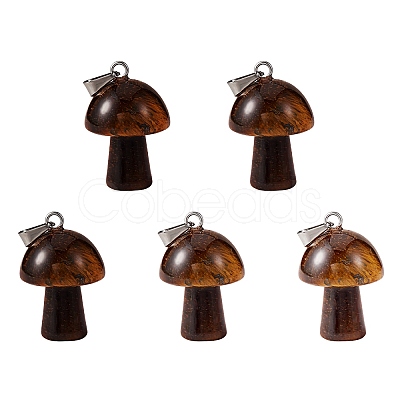 5Pcs Natural Tiger Eye Pendants G-SZ00001-87B-1