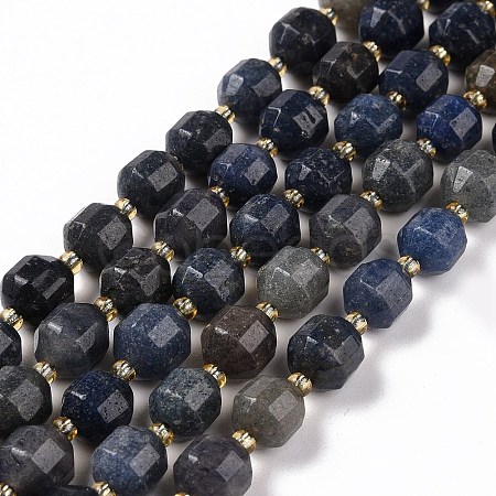 Natural Blue Aventurine Beads Strands G-G990-F02-1