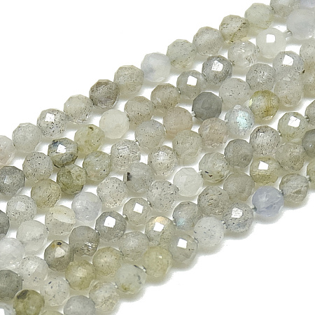 Natural Labradorite Beads Strands G-S300-29-2mm-1