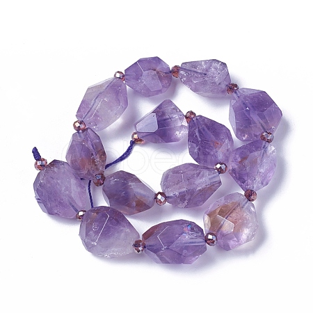 Natural Amethyst Beads Strands G-P422-23-1