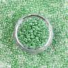 8/0 Glass Seed Beads X1-SEED-A015-3mm-2207-3