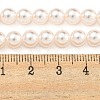 Glass Pearl Beads Strands HY-G002-01C-03-5