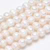 Natural Cultured Freshwater Pearl Beads Strands X-SPPA007Y-1-4