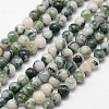 Natural Tree Agate Beads Strands G-N0192-01-3mm-1