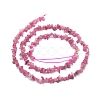Natural Tourmaline Beads Strands X-G-L550B-01-3