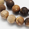 Frosted Round Natural Petrified Wood Beads Strands G-N0166-71-6mm-2