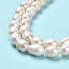 Natural Cultured Freshwater Pearl Beads Strands PEAR-E016-190-4