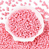 Baking Paint Pearlized Glass Seed Beads SEED-T008-03I-2