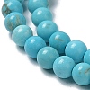 Natural Howlite Beads Strands G-E604-B04-B-4