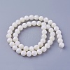 Shell Beads Strands SSHEL-E571-39-8mm-2