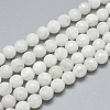 Natural Rainbow Moonstone Beads Strands G-G792-34A-1