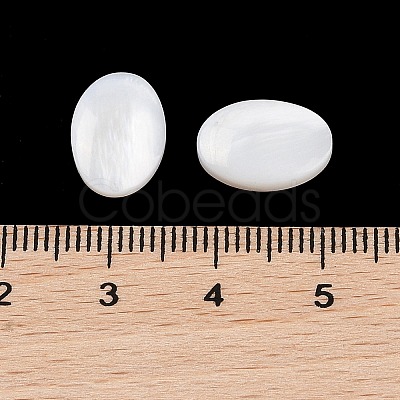 Natural Freshwater Shell Cabochons BSHE-G036-10A-1