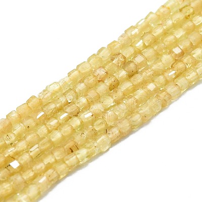 Natural Yellow Apatite Beads Strands G-P457-B01-13-1