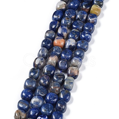 Natural Sodalite Beads Strands G-C038-02E-1