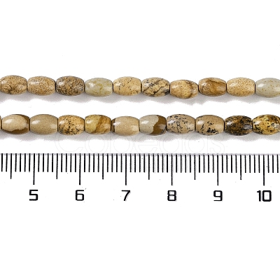 Natural Picture Jasper Beads Strands G-K362-I06-01-1