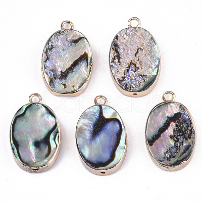 Natural Paua Shell Pendants SSHEL-R045-05-1