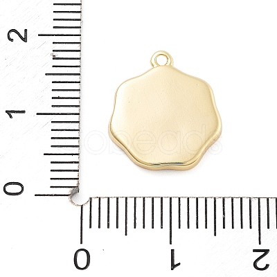 Brass Pendans X-KK-L217-001G-01-1