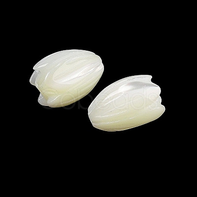 Natural Trochus Shell Flower Beads BSHE-G036-07-1