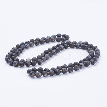 Natural Larvikite Beaded Necklaces NJEW-P202-36-B19-1