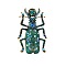 Beetle Enamel Pins, Alloy Rhinestone Brooches for Backpack Clothes, Dark Cyan, 68x44mm