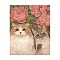 Cat DIY Diamond Painting Kits, with Resin Rhinestones, Diamond Sticky Pen, Tray Plate and Glue Clay, Salmon, 400x300mm