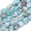 Natural Larimar Beads Strands G-L493-37-1