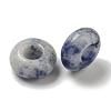 Natural Blue Spot Jasper Beads G-Q173-03A-14-2