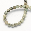 Natural Sesame Jasper/Kiwi Jasper Round Beads Strands G-S168-8mm-2