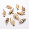 Golden Electroplated Conch Shell Pendants BSHE-M016-02-3