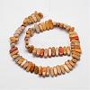 Natural Fossil Coral Beads Strands G-P171-03-2