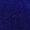 Glass Seed Beads SEED-A004-2mm-8-3