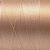 Nylon Sewing Thread NWIR-N006-01M1-0.2mm-2
