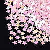 Shining Nail Art Glitter X-MRMJ-T017-04K-2