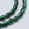 Natural Malachite Beads Strands G-F571-25-3
