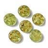 Transparent Lampwork Beads LAMP-P065-04A-12-1