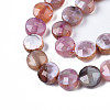 Natural Fire Crackle Agate Beads Strands G-S359-372-3