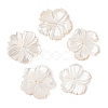 Natural White Shell Beads SSHEL-C012-23B-1