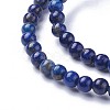 Natural Lapis Lazuli Beads Strands G-P430-07-A-3
