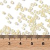 Glass Seed Beads X-SEED-S042-13A-02-4