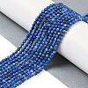Natural Lapis Lazuli Beads Strands G-L587-A03-02-1