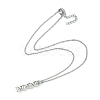 DNA Double Helix Alloy Pendant Necklaces & Danhle Earrings Jewelry Sets SJEW-JS01279-4