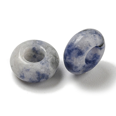 Natural Blue Spot Jasper Beads G-Q173-03A-14-1